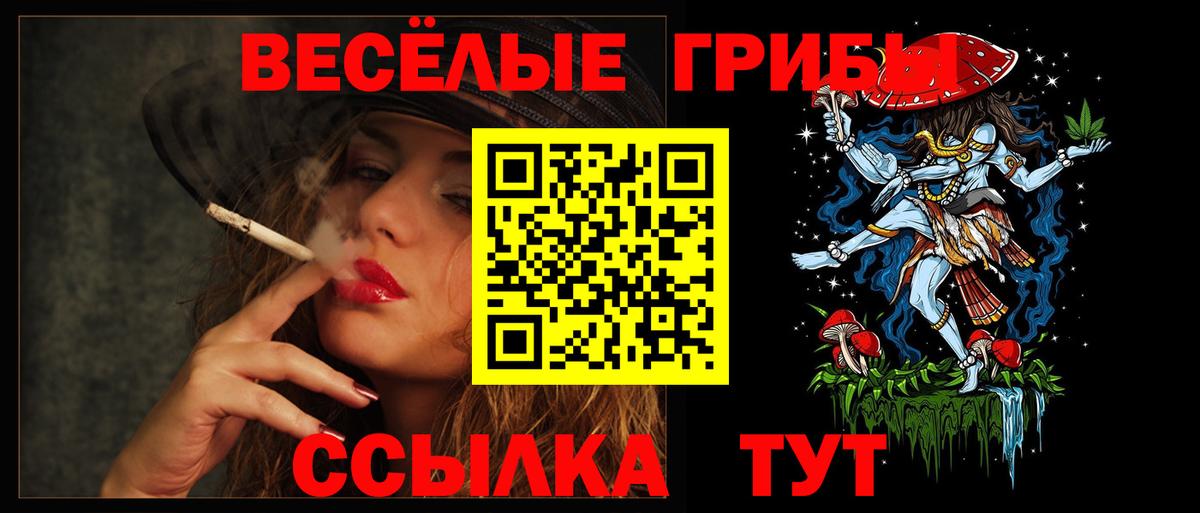 Галлюциногенные грибы GOLDEN TEACHER Южно-Сахалинск