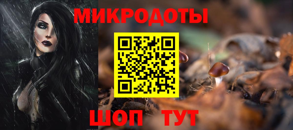 Южно-Сахалинск  закладка  Вход с VPN  Псилоцибиновые грибы Psilocybine cubensis 